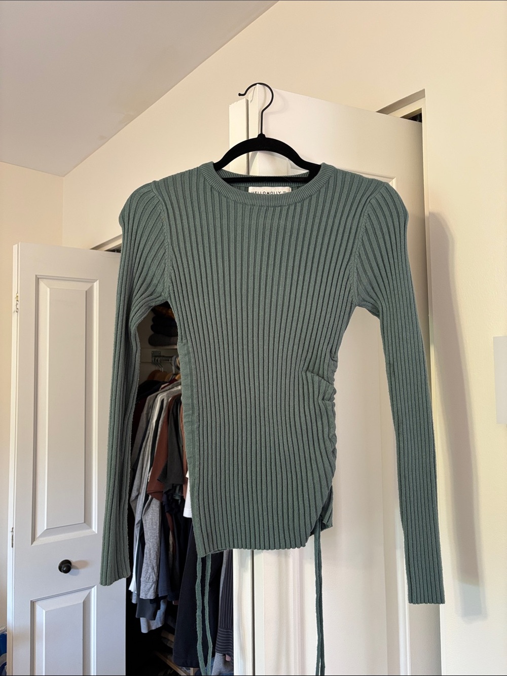 Hello Molly Ribbed Crewneck Sweater in Sage Green with Side Tie